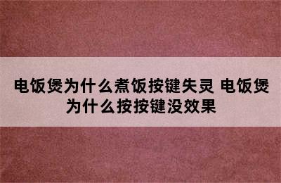 电饭煲为什么煮饭按键失灵 电饭煲为什么按按键没效果